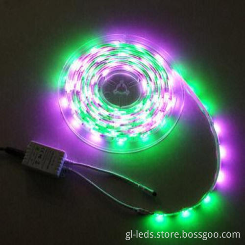 The Latest Product LED Rope Light with CE and RoHS Marks